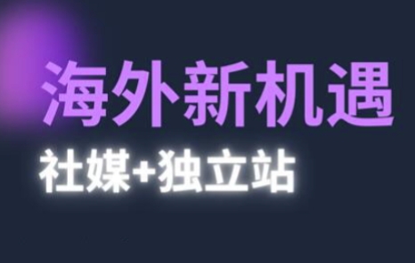 2025出海新机遇(社媒+独立站)，海外新机遇，实现独立站的高效运营与出海-AI创作学习-提示词应用-短视频玩法青花瓷AI学习网