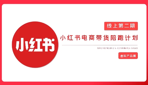 小红书虚拟电商实战课，从0到1打造无货源店铺，AI+爆款笔记轻松变现-AI创作学习-提示词应用-短视频玩法青花瓷AI学习网