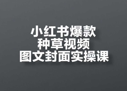 小红书爆款种草视频图文封面实操课：​开店、选品、引流、变现全流程-AI创作学习-提示词应用-短视频玩法青花瓷AI学习网
