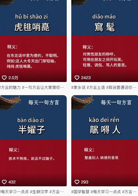 抖音最新涨粉玩法，【方言】图文暴力涨粉实操，126作品涨粉11W-AI创作学习-提示词应用-短视频玩法青花瓷AI学习网