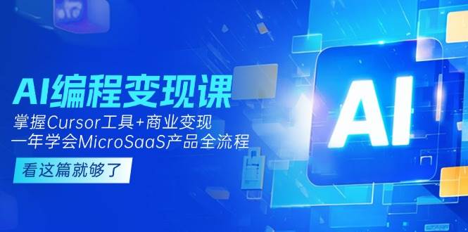 AI编程变现课：掌握Cursor工具+商业变现，一年学会MicroSaaS产品全流程-AI创作学习-提示词应用-短视频玩法青花瓷AI学习网