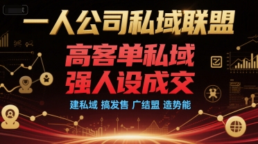 肖厂长：一人公司私域联盟，高客单私域，强人设成交，建私域 搞发售 广结盟 造势能-AI创作学习-提示词应用-短视频玩法青花瓷AI学习网
