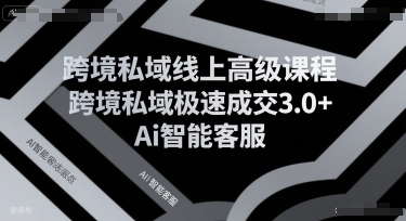 跨境私域线上高级课程，跨境私域极速成交3.0+Ai智能客服-AI创作学习-提示词应用-短视频玩法青花瓷AI学习网