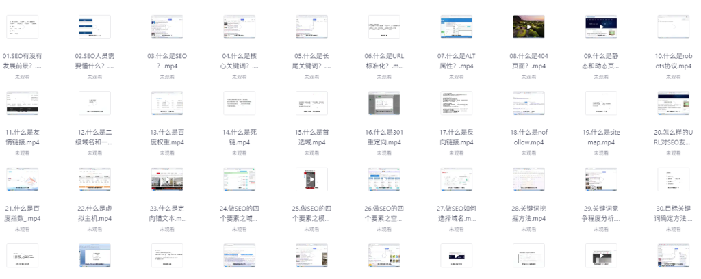 零基础SEO优化课程，手把手教你做SEO优化，只讲干货-AI创作学习-提示词应用-短视频玩法青花瓷AI学习网