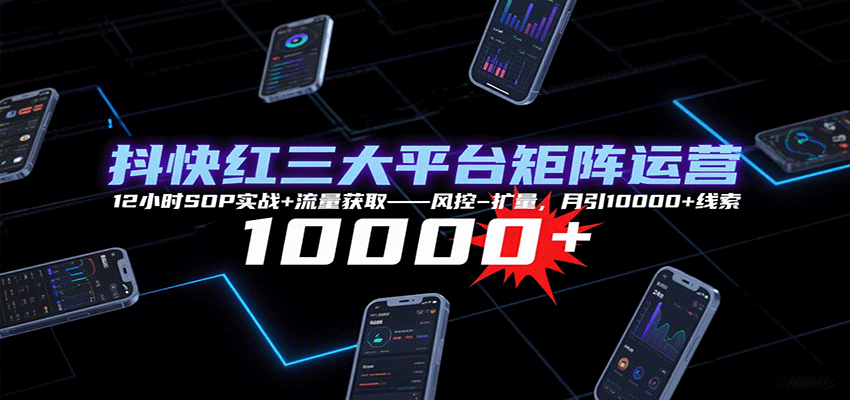 抖快红三大平台矩阵运营，12小时SOP实战+流量获取-风控-扩量，月引10000+线索-AI创作学习-提示词应用-短视频玩法青花瓷AI学习网